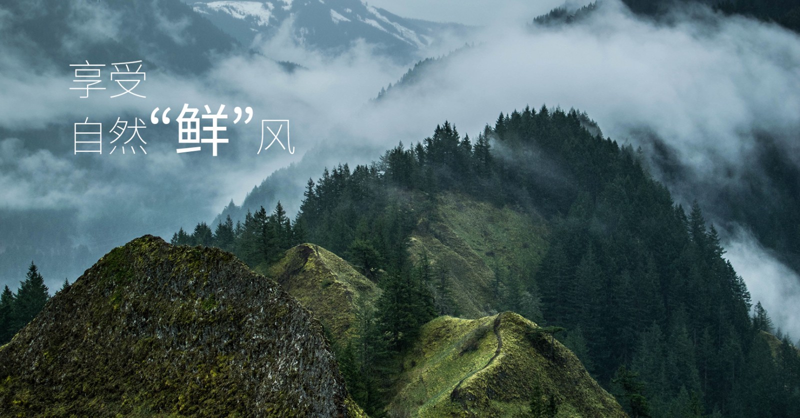 颯多大的、爽.jpg